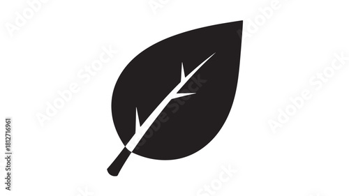 Simple leaf icon flat vector illustration of a natural element isolated on white background
