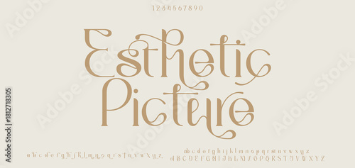 Luxury sans serif alphabet letters font and number. Classic Lettering Minimal Fashion Designs. Typography decorative wedding fonts and logo. vector illustration.