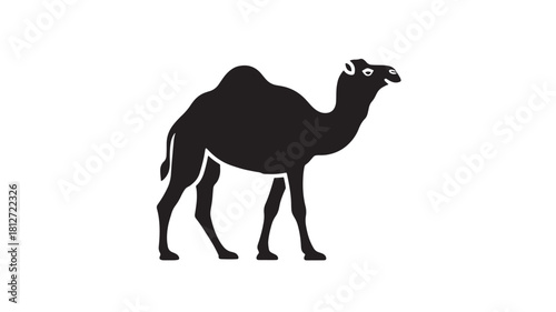 Camel silhouette vector illustration simple flat design isolated on white background