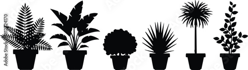 Indoor potted plants silhouette collection vector illustration black shapes variety of houseplants