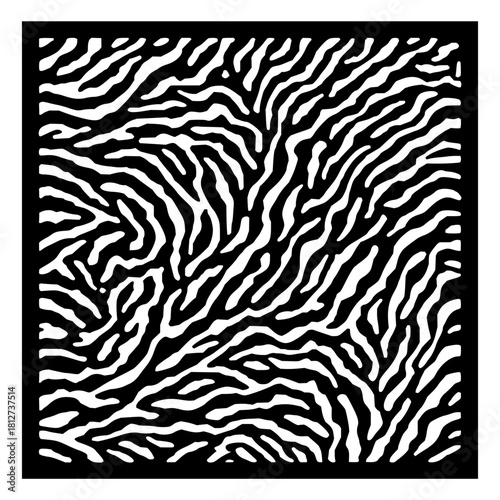 Abstract zebra pattern vector background design with black and white stripes for fabric and wallpaper design