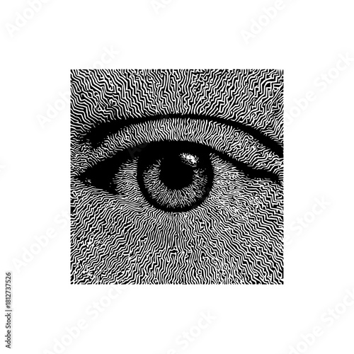 Detailed eye illustration optical art vision sight visual perception eyeball artwork black and white image
