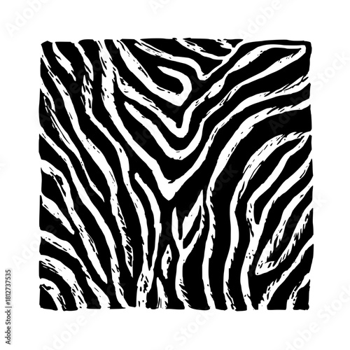 Black and white zebra stripes pattern animal print safari background abstract wild design texture illustration art
