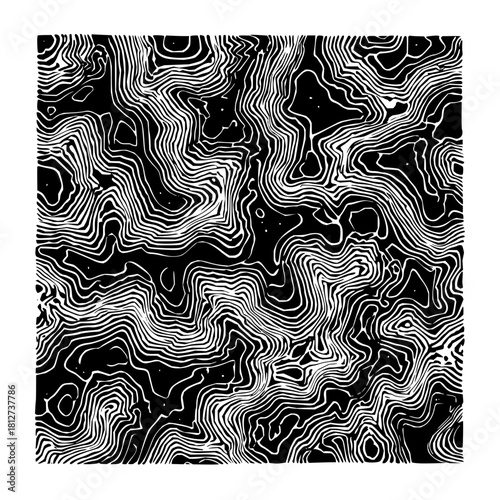 Abstract topographic map contour lines black and white geography landscape design pattern illustration art work