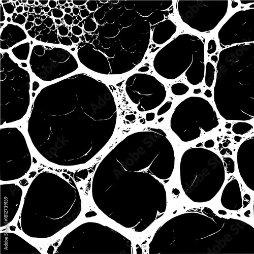 Abstract black and white organic cell structure, network, interconnected pattern, biology, art design texture 100