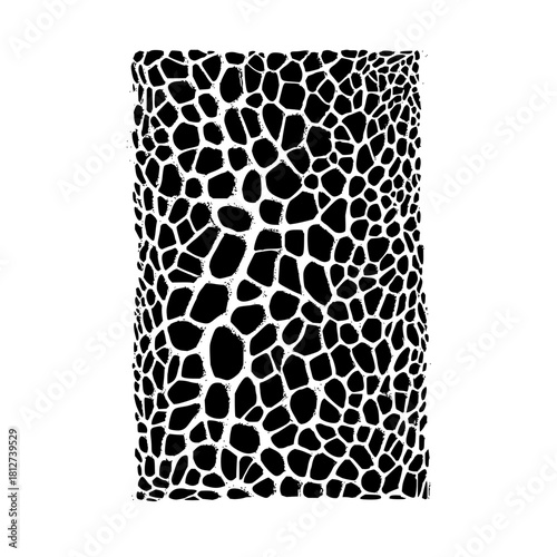 Giraffe print pattern animal skin texture black and white wildlife safari africa design background wallpaper seamless
