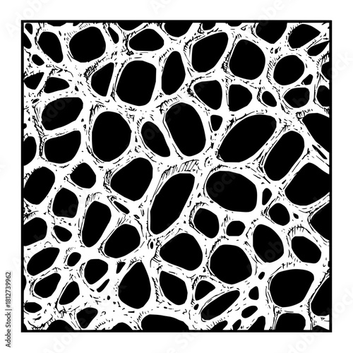 Abstract organic cell structure pattern design black and white background vector illustration art graphic drawing