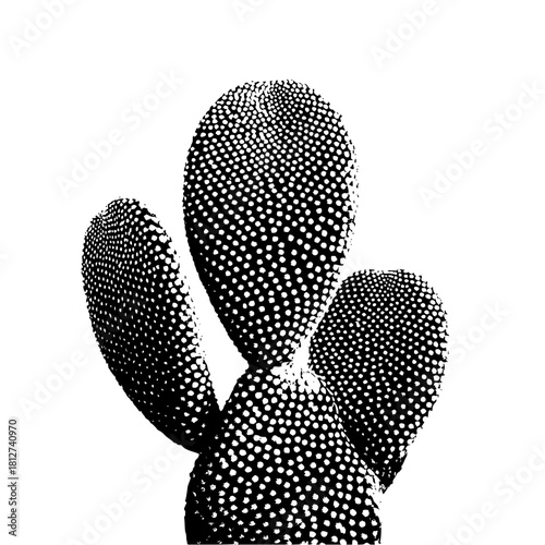 Black and white cactus plant art print botanical illustration desert flora nature drawing succulent home decor design 100