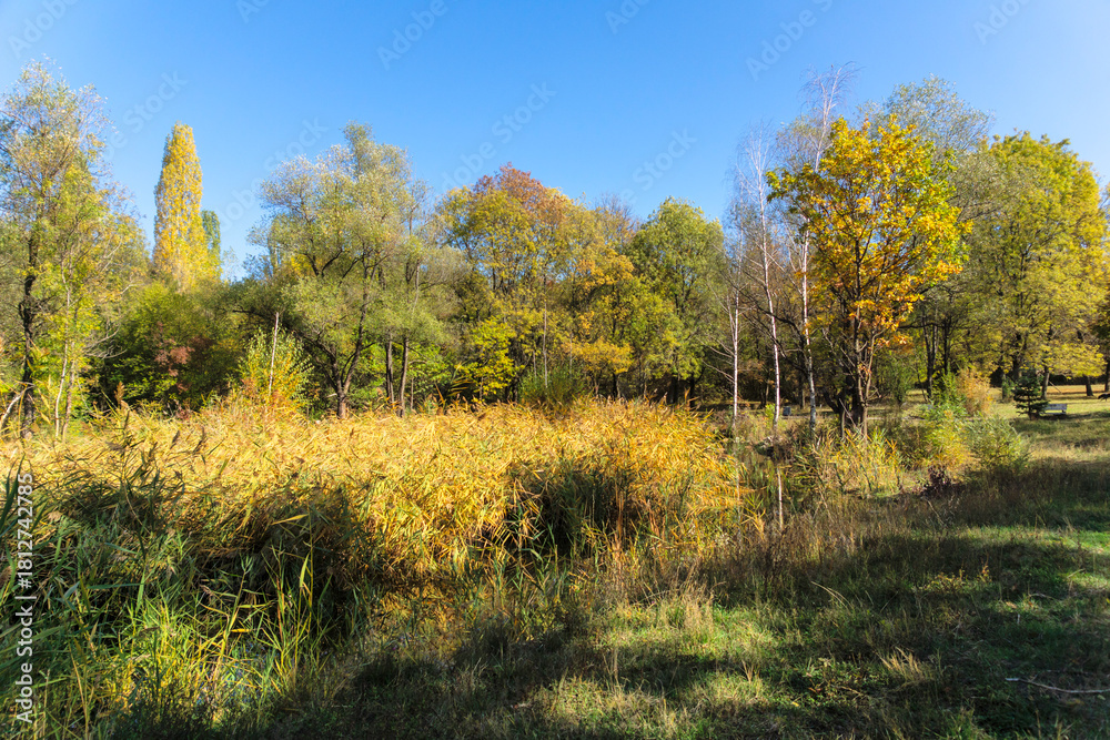 Fototapeta premium Landscape of South Park in city of Sofia, Bulgaria