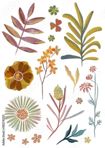 VEGETAL ABSTRACT SET