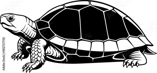 turtle side view silhouette on white background vector illustration

