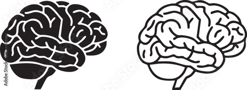 Two stylized brain silhouettes showing intricate detail isolated on transparent background
