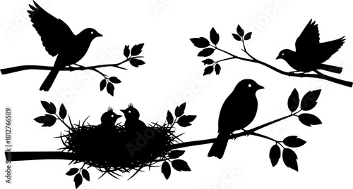 Bird silhouettes perched on branches, flying bird, baby birds in nest, nature wildlife scene, black vector illustration, isolated on white background
