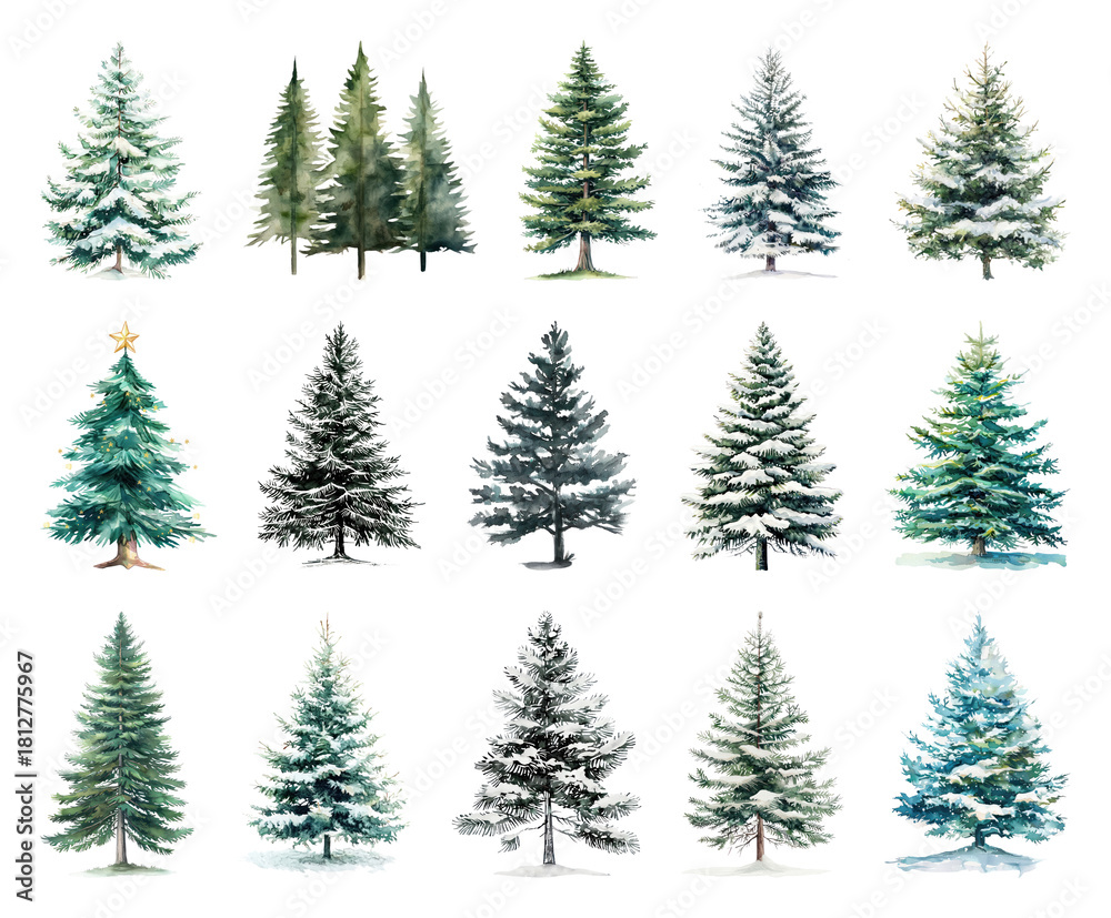 Obraz premium Variety of snow-covered evergreen trees.