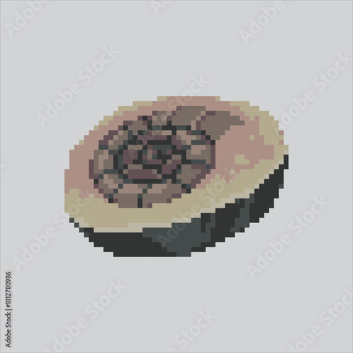Pixel art illustration Fossil in Stone. Pixelated Prehistoric Fossil. Prehistoric Fossil in Stone Icon pixelated for the pixel art game and icon for website and video game. old school retro.
