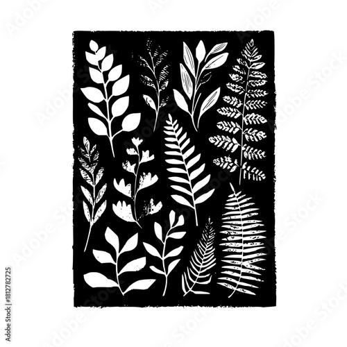 Botanical linocut print with various white leaves and ferns on a black background design element