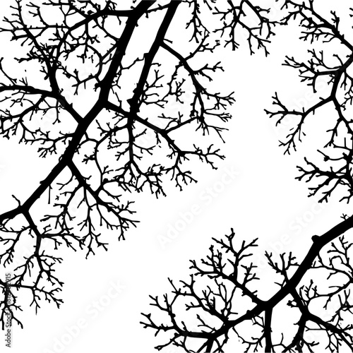 Silhouette of tree branches against a white background creating a stark contrast and wintery aesthetic