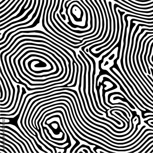 Abstract pattern of black and white concentric lines resembling topographic map or organic growth rings