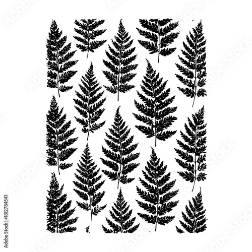 Pattern of black fern fronds on a white background creating a botanical and natural aesthetic design element