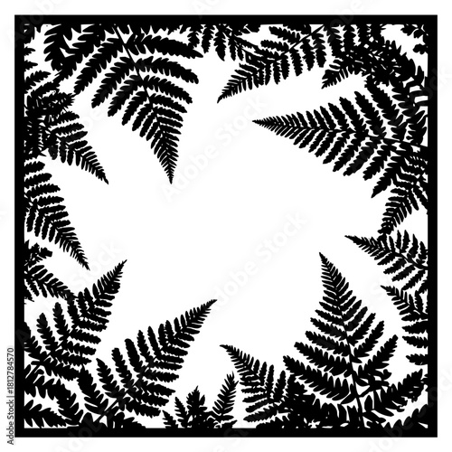 Black fern fronds arranged in a square frame with a white background creating a natural border design