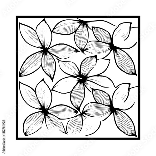Floral pattern with five petal flowers in a square frame with black outlines and white background design