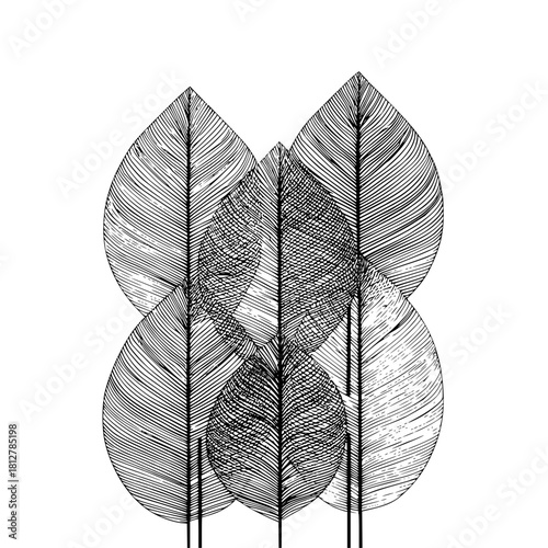 Arrangement of five stylized leaves with intricate line details in a monochrome black and white design