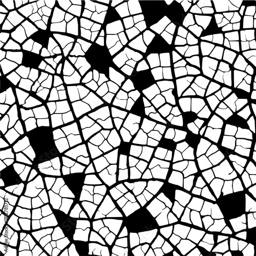 Cracked surface pattern with irregular white lines and black shapes creating a mosaic texture design