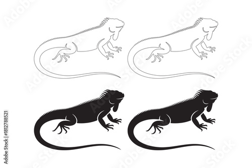 Two stylized iguana silhouettes and two line art iguanas