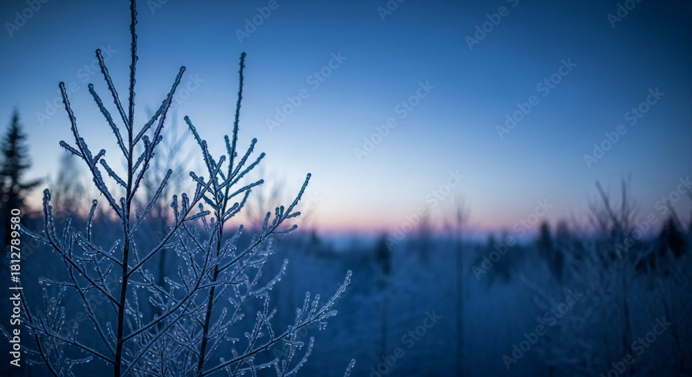 Obraz premium Foreground of ice-covered tree branches, background of blurred forest at dusk, representing cold winter and peaceful nature, for winter scene or background