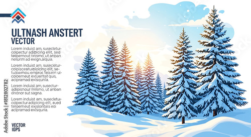 Snowy Evergreen Forest Landscape Shines Brightly with Sunlight in the Winter