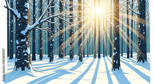 Winter sunlight through the trees in a beautiful snowy forest scene.