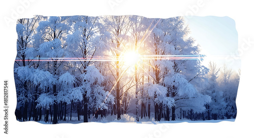 Winter forest with snow covered trees and bright sunlight shining through