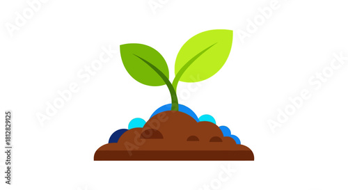 Young seedling growing from soil with two fresh leaves on white backgr