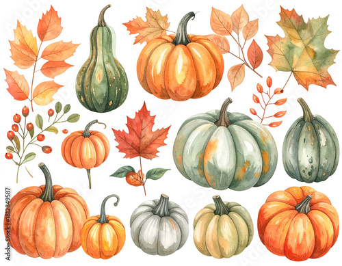 Autumn harvest with colorful gourds and leaves