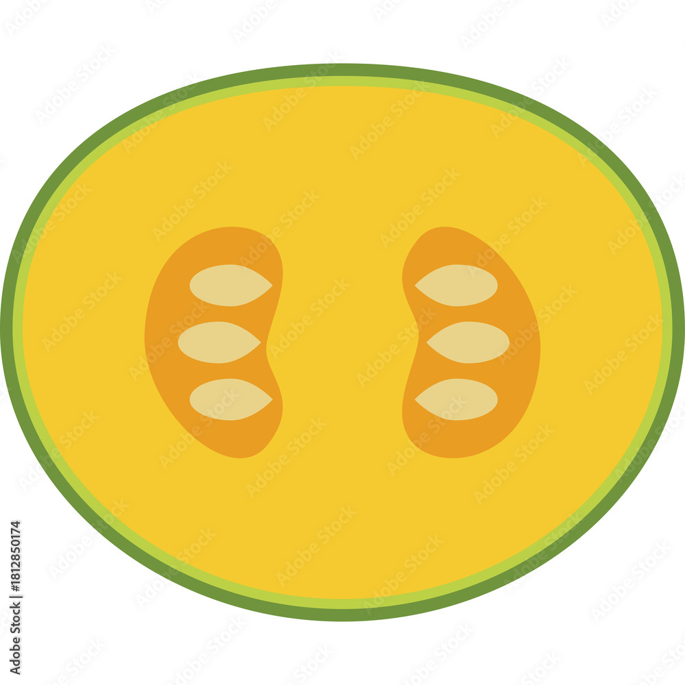 Fototapeta premium Halved Yellow Melon With Green Rind And Light Brown Seeds Displayed With Transparent Background