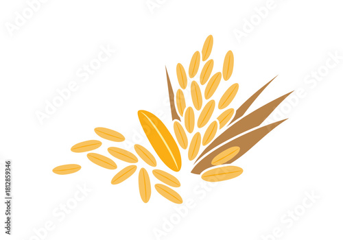 Rice grains and stalks in yellow and brown tones for harvest themes  