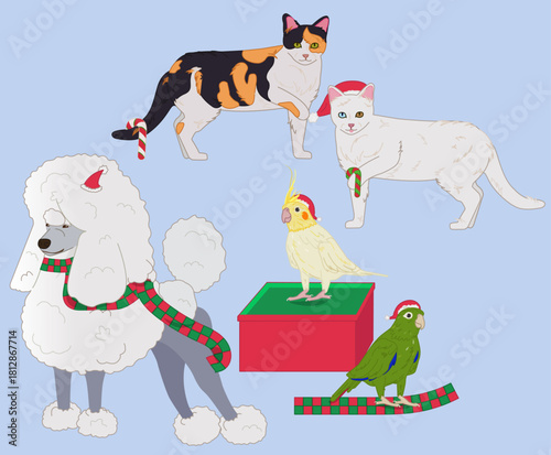 Cats, parrots, and poodle at Christmas