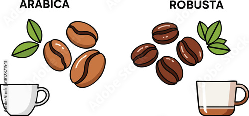 Arabica vs Robusta Coffee Beans Comparison Illustration