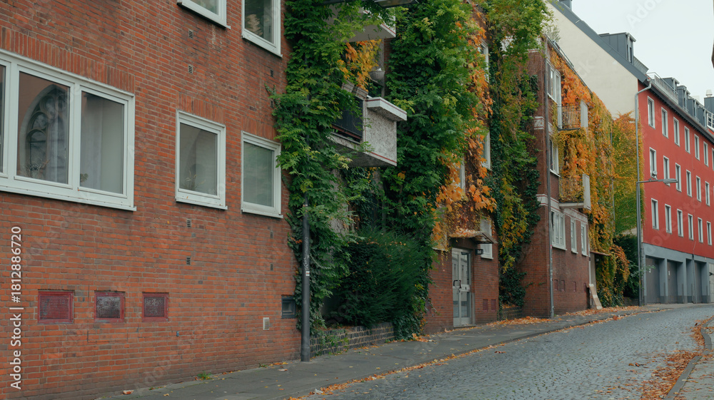 Fototapeta premium Charming street with brick buildings and overgrown greenery in a quiet neighborhood