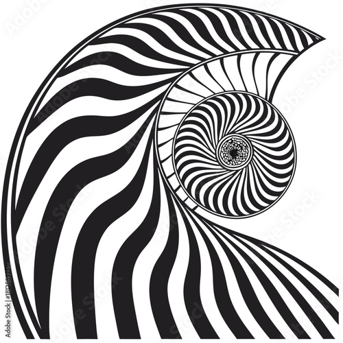 Black and white nautilus shell spiral pattern monochrome