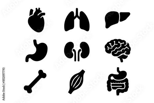 Human organ silhouettes set: heart, lungs, liver, stomach, kidneys, brain, bone, muscle, intestines