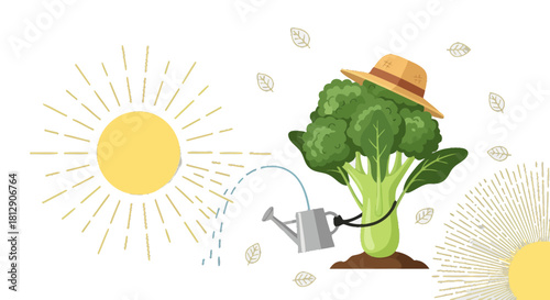 A Broccoli Farmer Taking Care Of His Tiny Garden With a Water Can And The Sunrise