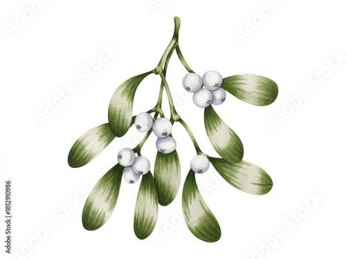 watercolor mistletoe branch with green leaves and berries clip art preview