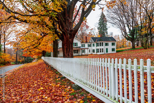 Picturesque fall scene with a white fence in Connecticut