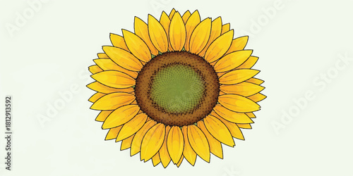 Vibrant illustration of a sunflower with crisp petal shapes, smooth yellow gradients, and a clean circular layout