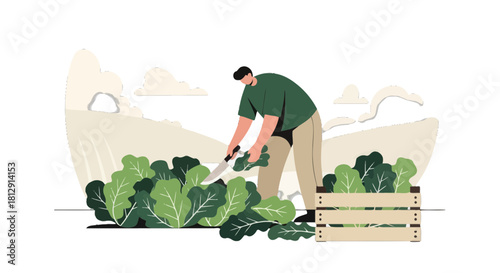 A Farmer Harvesting Fresh Greens to Fill a Wooden Crate Outdoors on Black Background