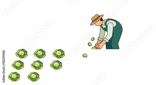 A Farmer Harvesting Fresh Cabbage In a Field Amidst a Lush and Productive Garden