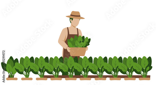 A Farmer Harvesting Greens Amidst Lush Rows in a Botanical Garden Cultivation Scene