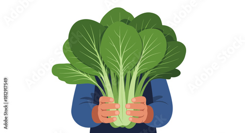 A Person Displays Fresh Bok Choy, A Healthy Vegetable, on Black Background.
