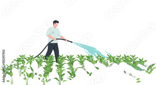 A Gardener Watering Green Plants Under The Sun Against a Black Background